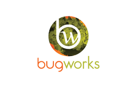 MedChemica Home Page 25 Bugworks