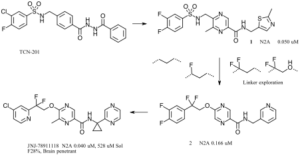 Ion 1