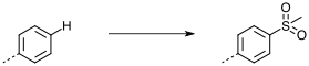 Ion 2