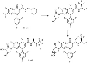 Ion 6