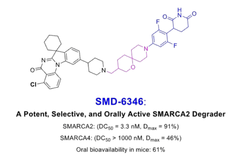 Discovery of SMD-6346: A Potent, Selective, and Orally Active SMARCA2 Degrader for Targeting SMARCA4-Deficient Human Cancer 2 Screenshot 2026 08 25 at 12.57.22